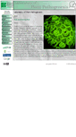 Mobile Screenshot of plantpath.ibb.waw.pl